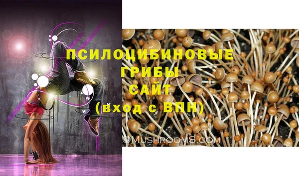 каннабис Алексеевка