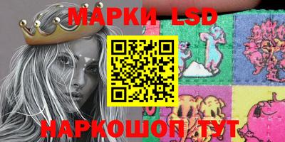 индика Сланцы