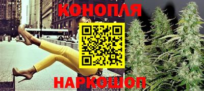 индика Сланцы