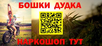индика Сланцы