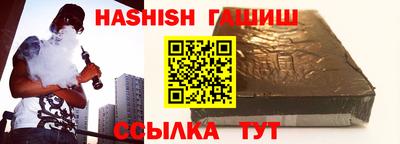 индика Сланцы